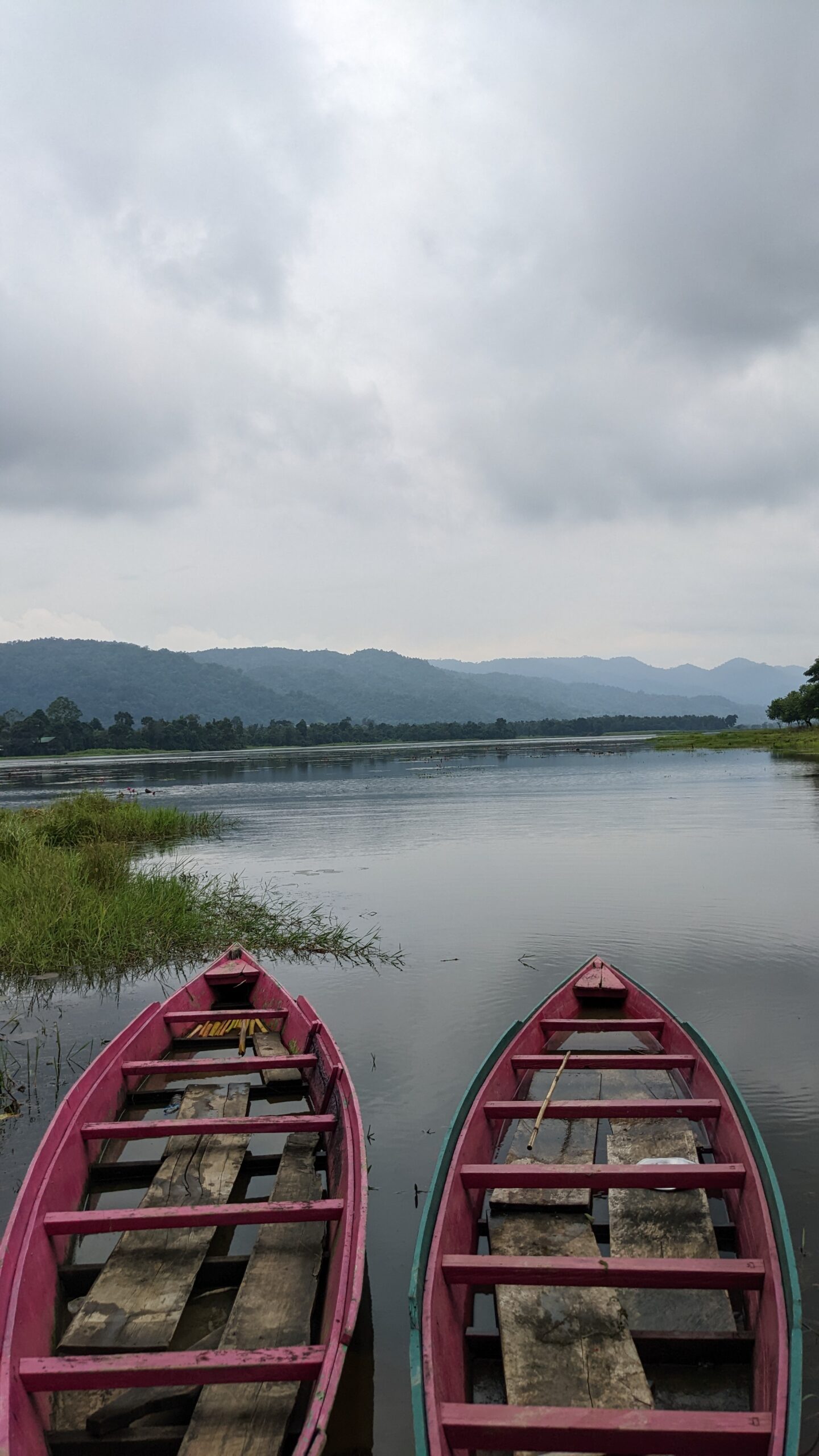 Assam PXL_20221010_044417452