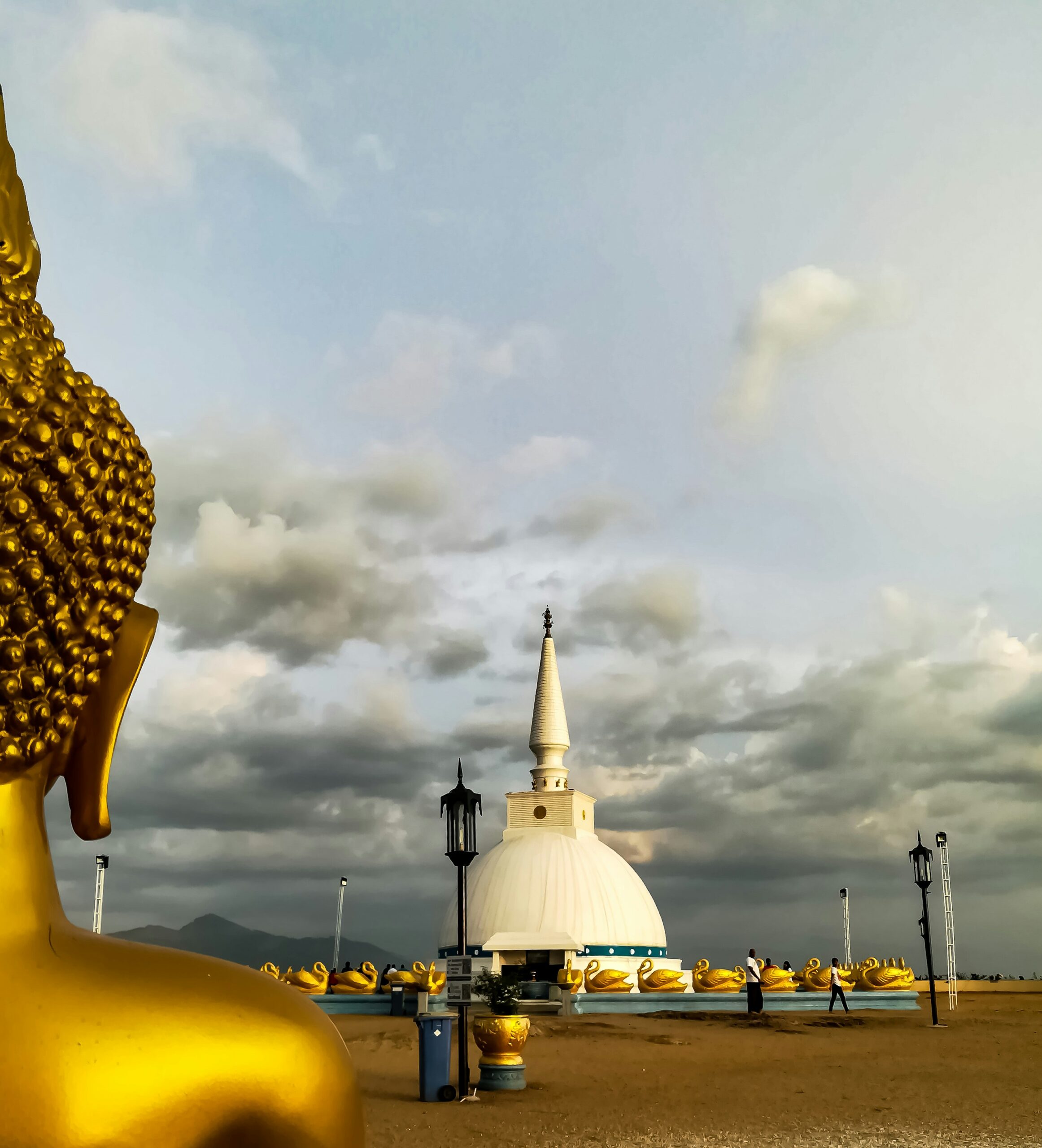 tharaka-jayasuriya-J_QFbakDiYQ-unsplash